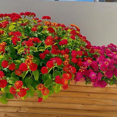 Elegant Apartment In The Heart Of Heraklion Εξωτερικό φωτογραφία